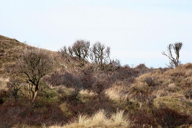 120 Texel.jpg